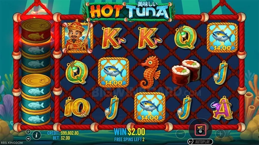 Player mastering Jilidd casino games