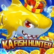 Live Casino Provider