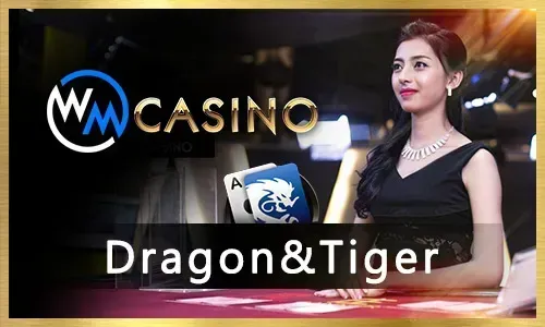 Responsible Gaming at jilidd